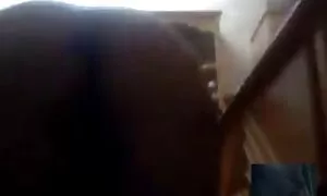 Figa dita dita da un pompino con ingoio forzato paziente